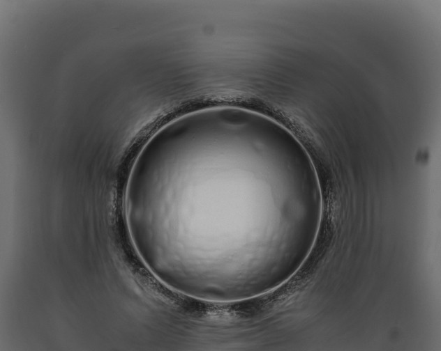 X0000089930591200707061041