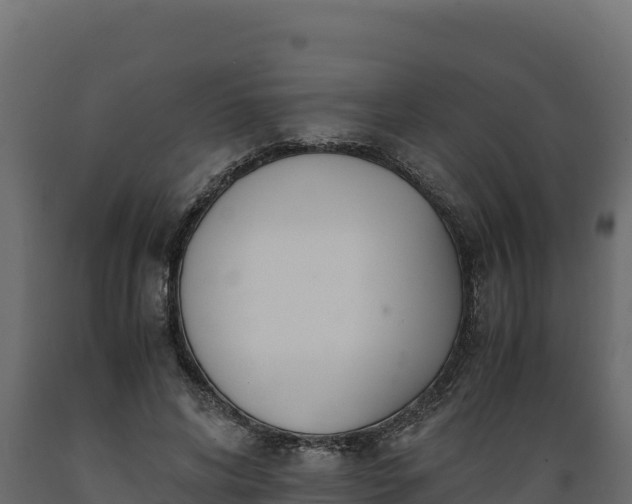 X0000089930592200707061041