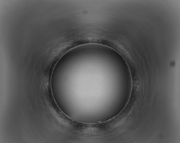 X0000089930593200707061041