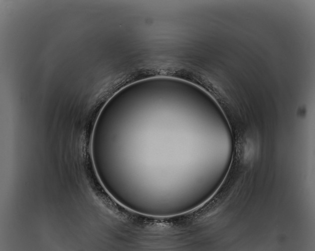 X0000089930594200707061041