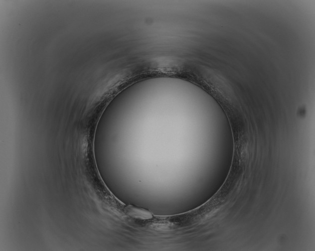 X0000089930595200707061041