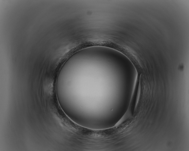 X0000089930596200707061041