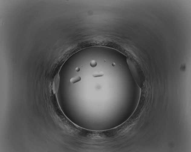 X0000089930597200707061041