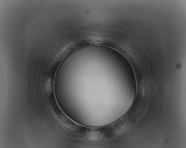 X0000089930598200707061041