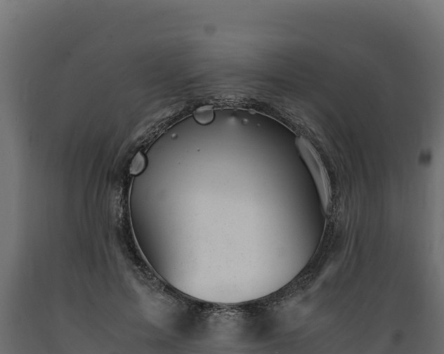 X0000089930599200707061041