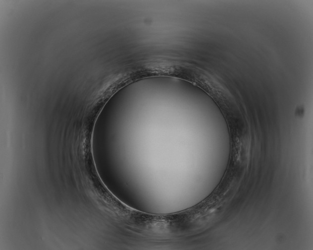 X0000089930600200707061041