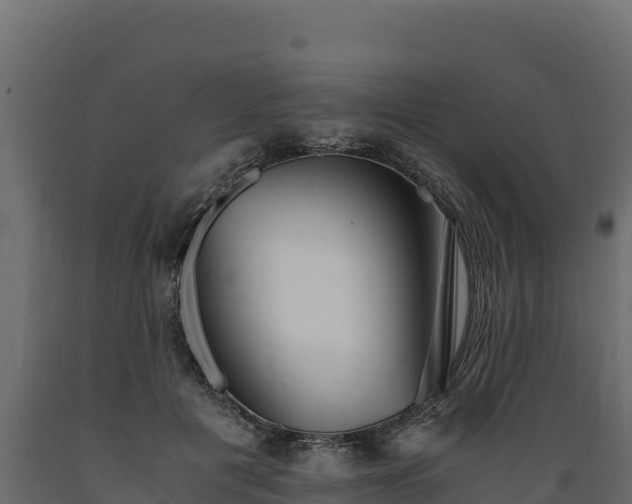 X0000089930601200707061041