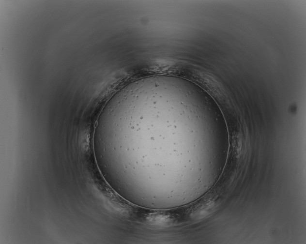 X0000089930602200707061041