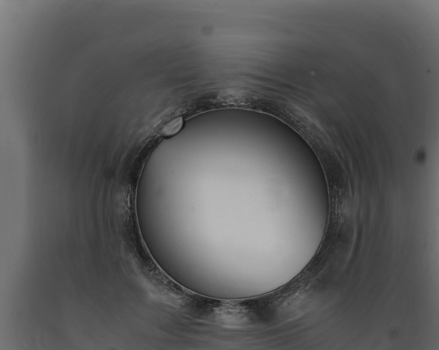 X0000089930603200707061041