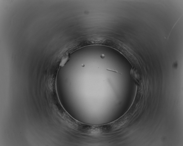 X0000089930604200707061041