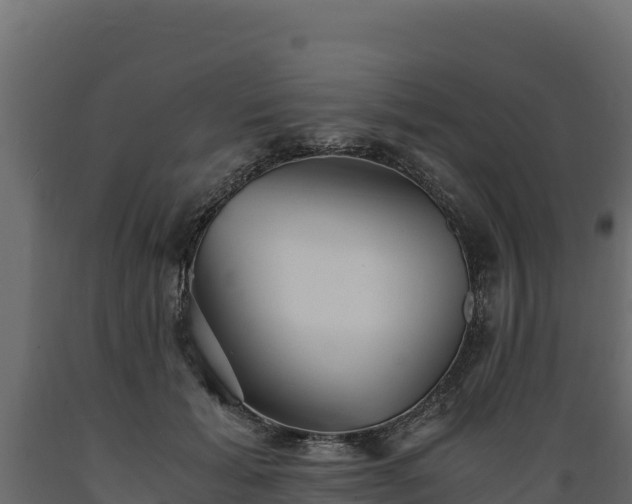 X0000089930605200707061041