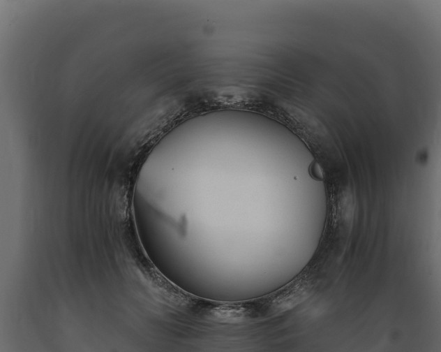 X0000089930606200707061041