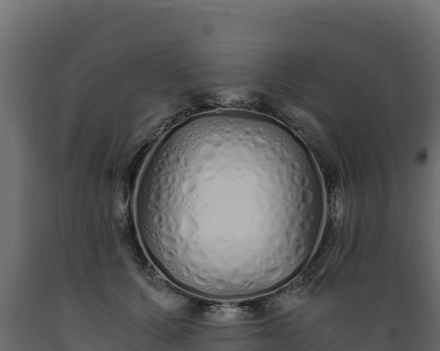 X0000089930607200707061041