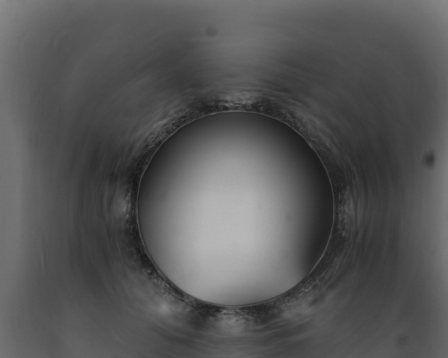 X0000089930608200707061041