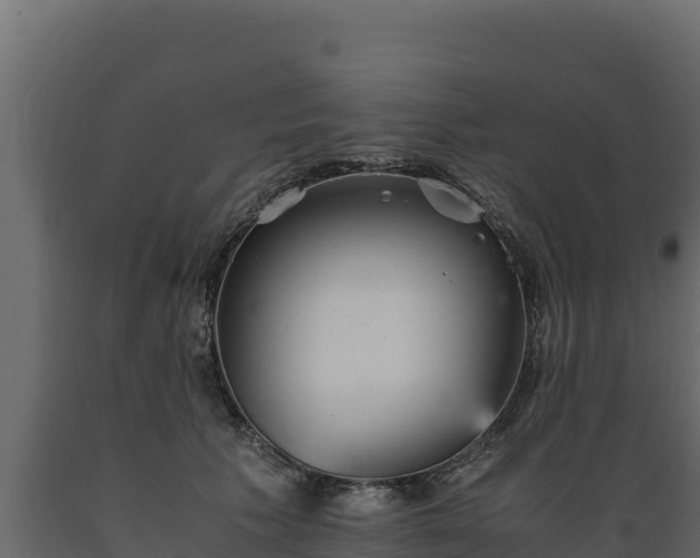 X0000089930609200707061041