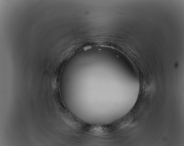 X0000089930611200707061041