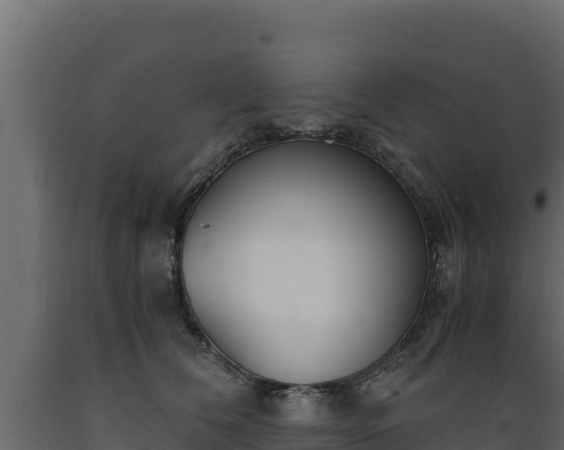 X0000089930612200707061041