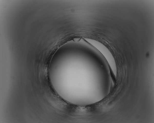 X0000089930613200707061041