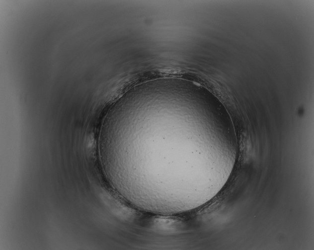 X0000089930614200707061041