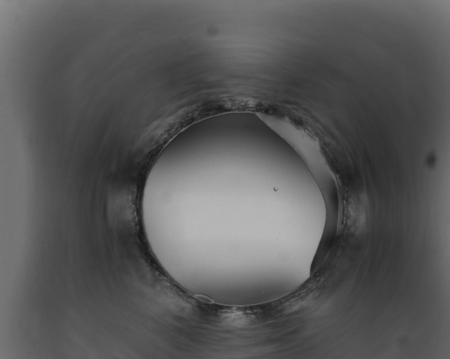 X0000089930616200707061041