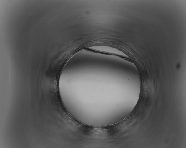 X0000089930617200707061041