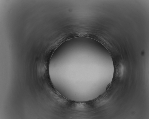 X0000089930618200707061041