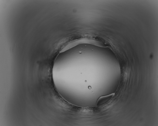 X0000089930619200707061041