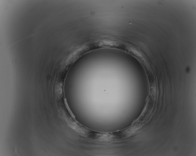 X0000089930621200707061041