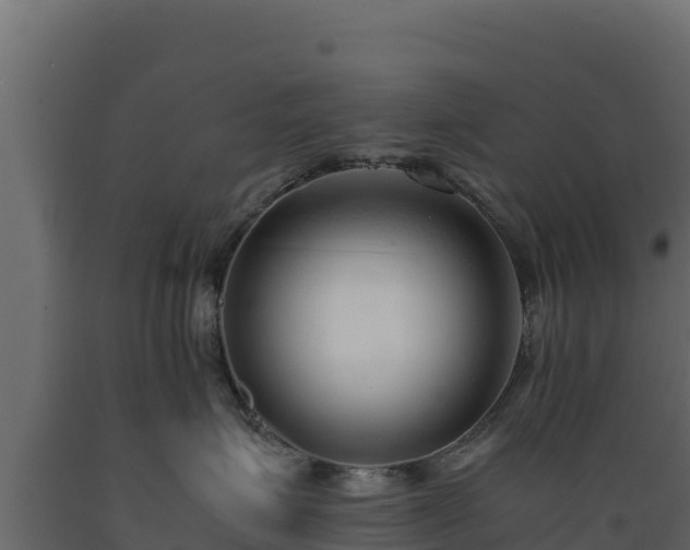 X0000089930623200707061041