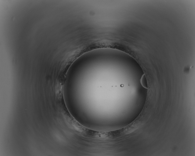 X0000089930624200707061041