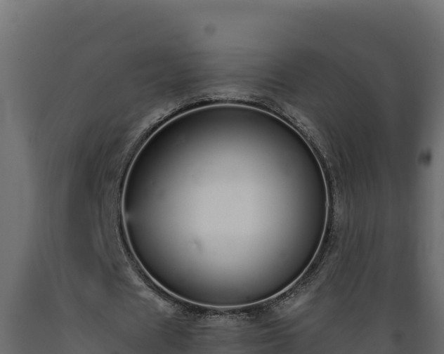 X0000089930625200707061040