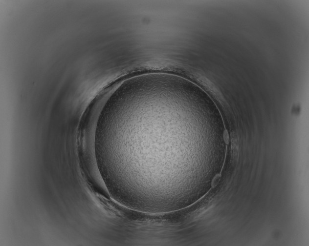 X0000089930626200707061040