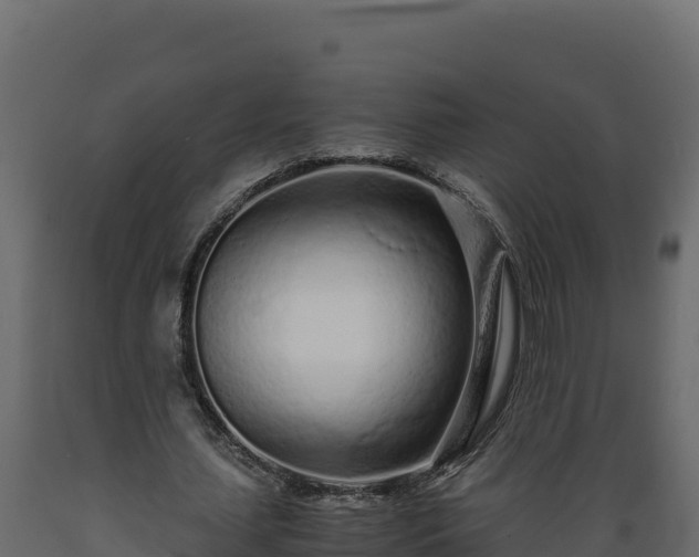 X0000089930627200707061040