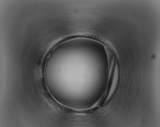 X0000089930628200707061040