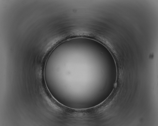 X0000089930629200707061040