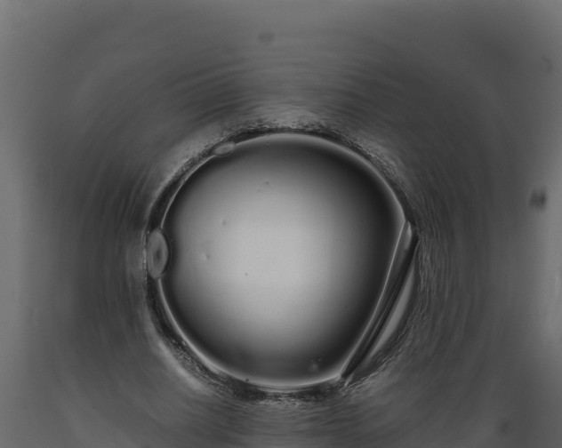 X0000089930630200707061040