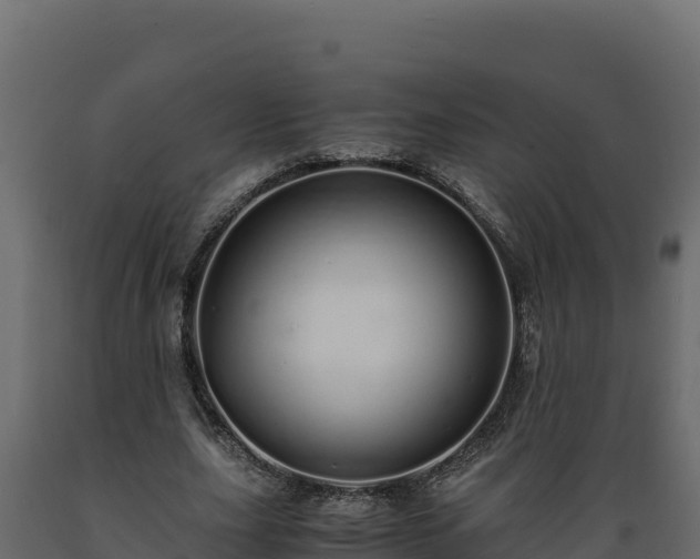 X0000089930631200707061040