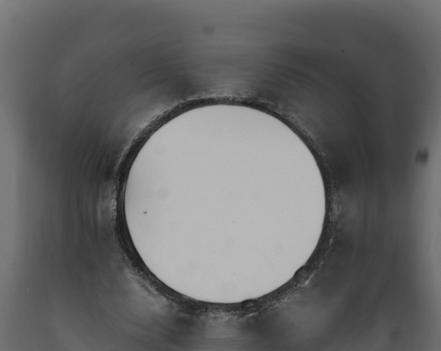 X0000089930632200707061040