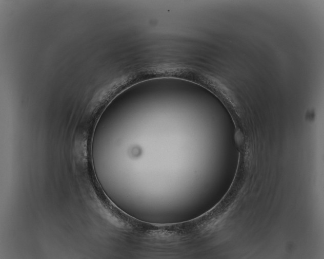 X0000089930633200707061040