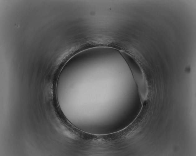 X0000089930634200707061040