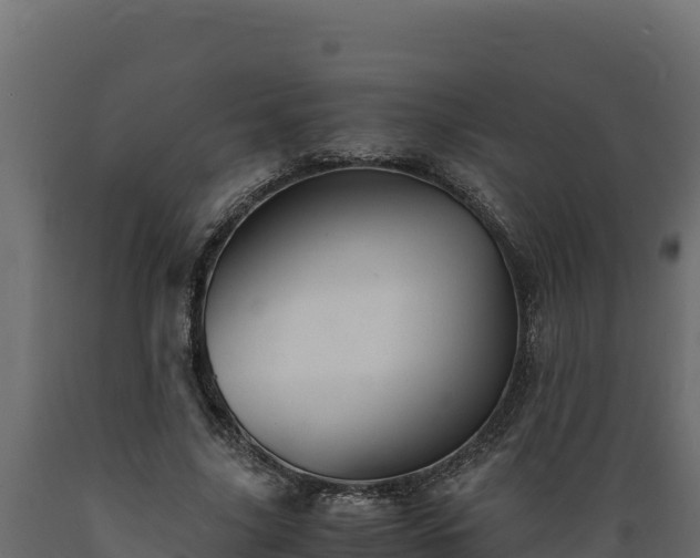 X0000089930635200707061040