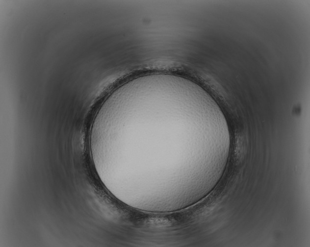 X0000089930636200707061040