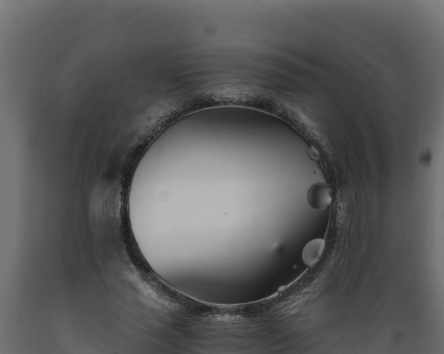 X0000089930637200707061040