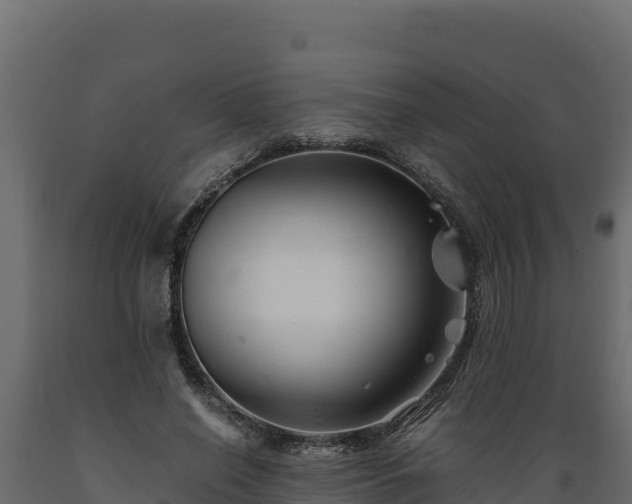 X0000089930638200707061040