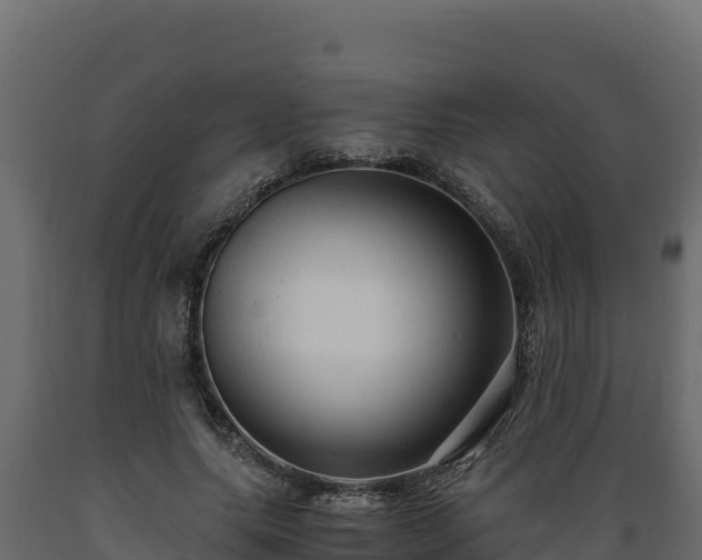 X0000089930639200707061040