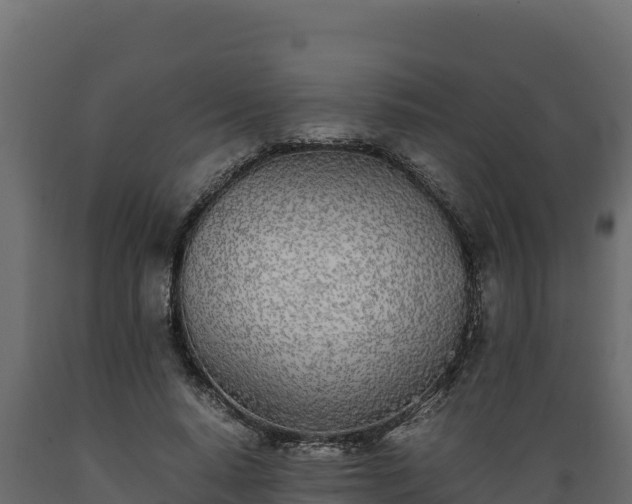 X0000089930640200707061040