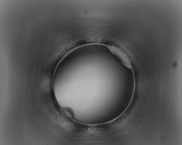 X0000089930641200707061040