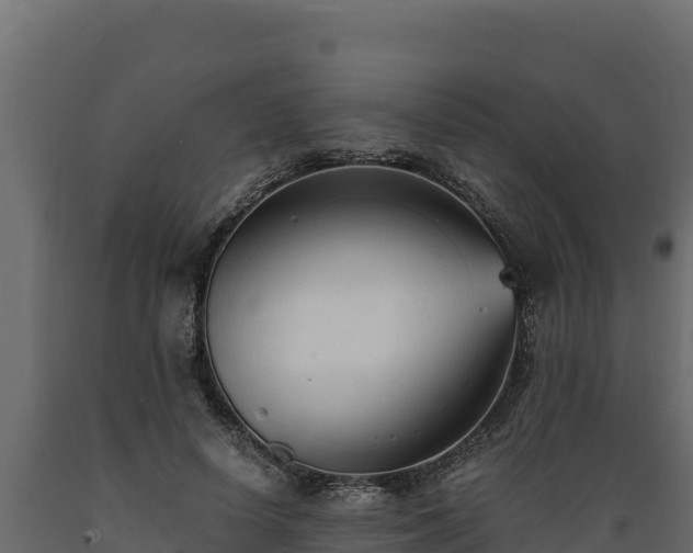 X0000089930642200707061040