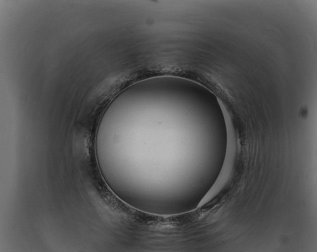 X0000089930643200707061040