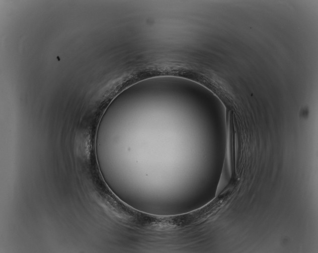 X0000089930644200707061040